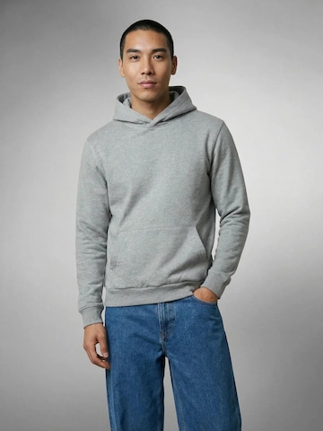 Pull-over ERVERTE Paris en gris