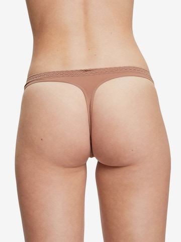 ESPRIT Stringit värissä beige