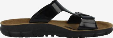 BIRKENSTOCK Muiltjes 'Sofia' in Zwart