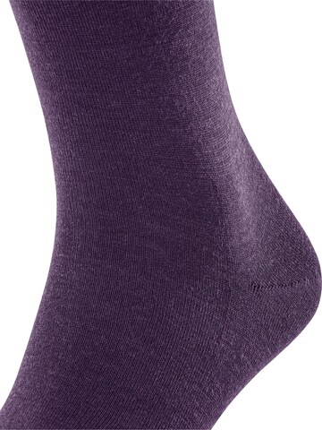 FALKE Knee High Socks 'Airport' in Purple