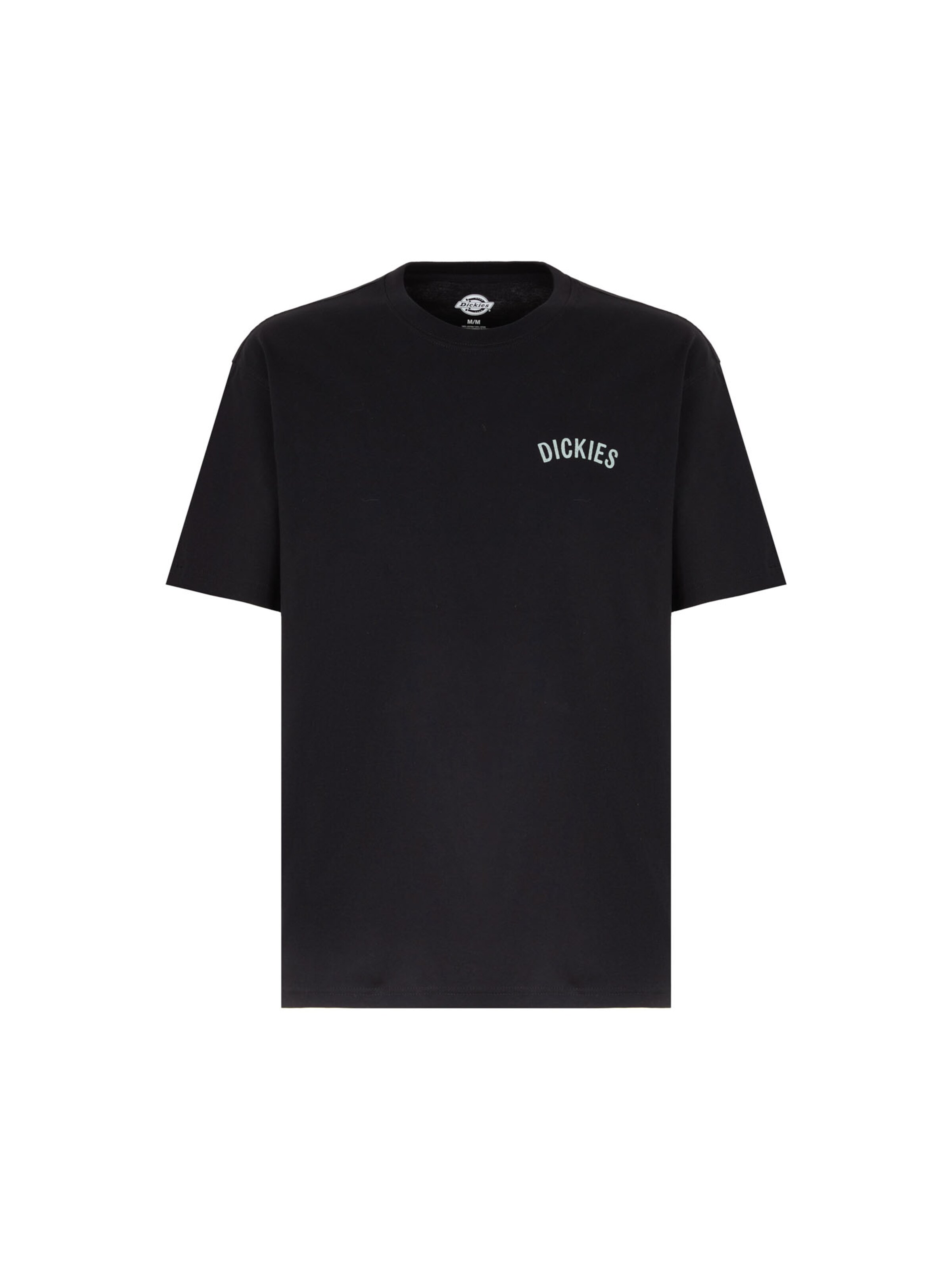 Maglietta 'Snake' di DICKIES in nero: frontale