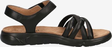 CAPRICE Sandals in Black