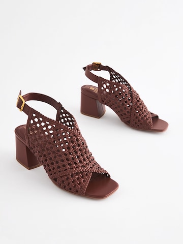 Next Sandals in Brown