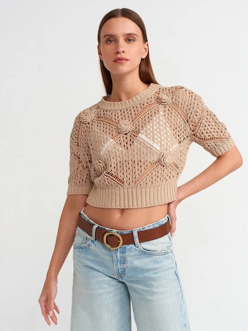 Dilvin Pullover 'Pullover'‌‌‌‌‌‌‌‌‌‌ in Beige: Vorderseite