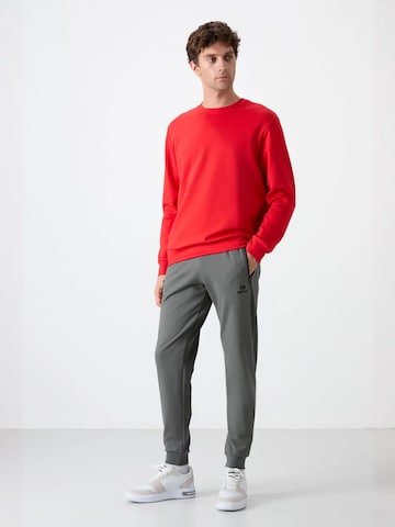 Tapered Pantaloni di Tommy Life in grigio