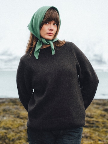 KOPYTO Pullover 'BARIBAL' in Braun