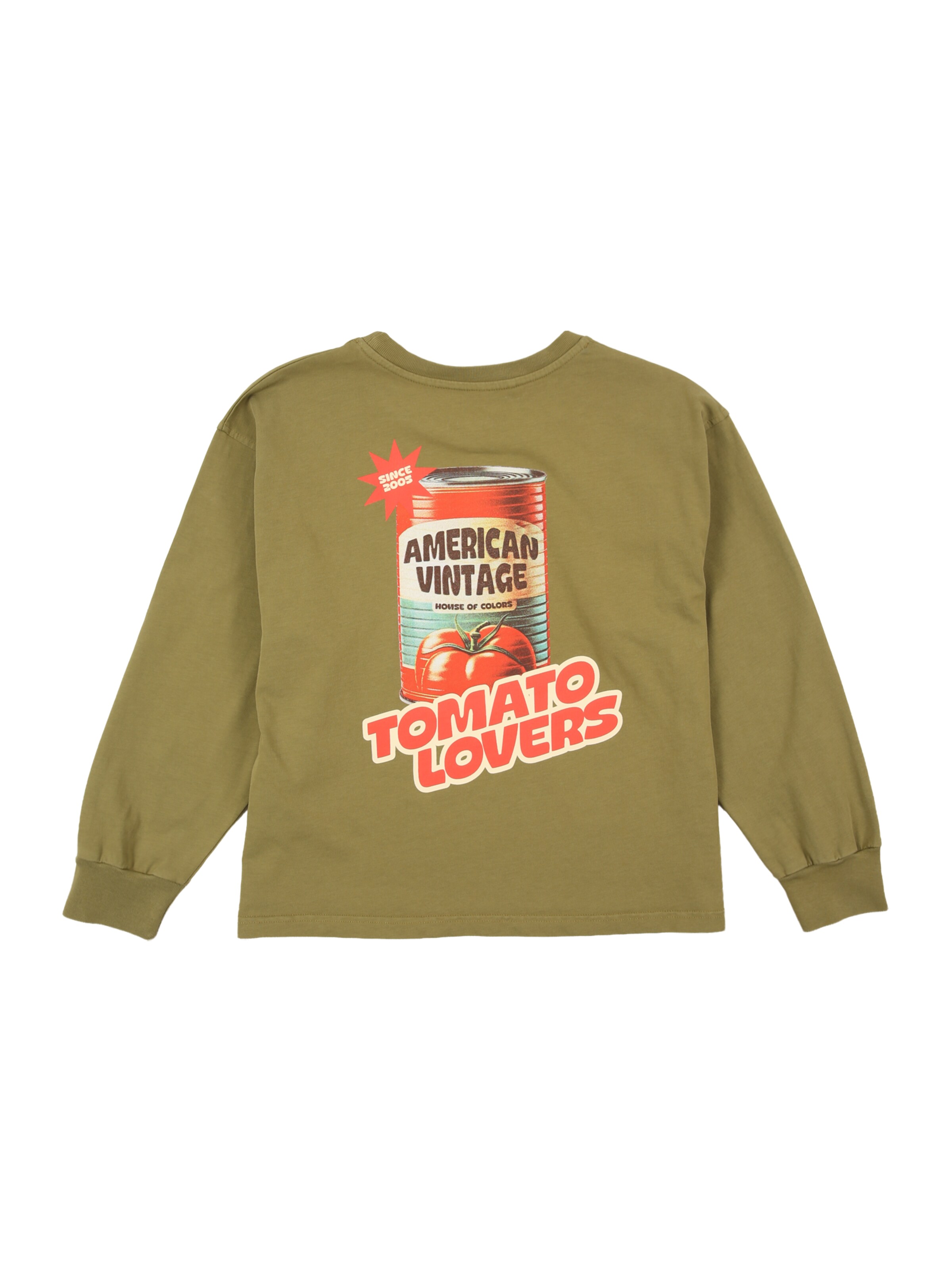 AMERICAN VINTAGE - Camisola 'FIZVALLEY' em verde