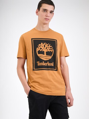 T-Shirt TIMBERLAND en marron : devant