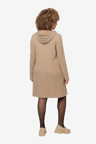 Ulla Popken Sweater in Beige