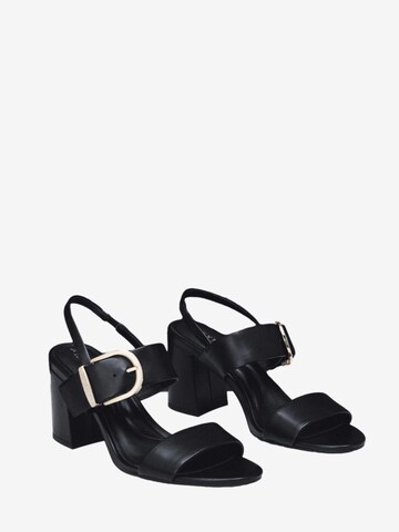 Sandales à lanières Next en noir