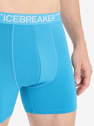 ICEBREAKER Sportunterhose 'Anatomica' in Blau