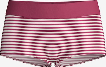 CALIDA Boyshorts 'Elastic' in Purple: front