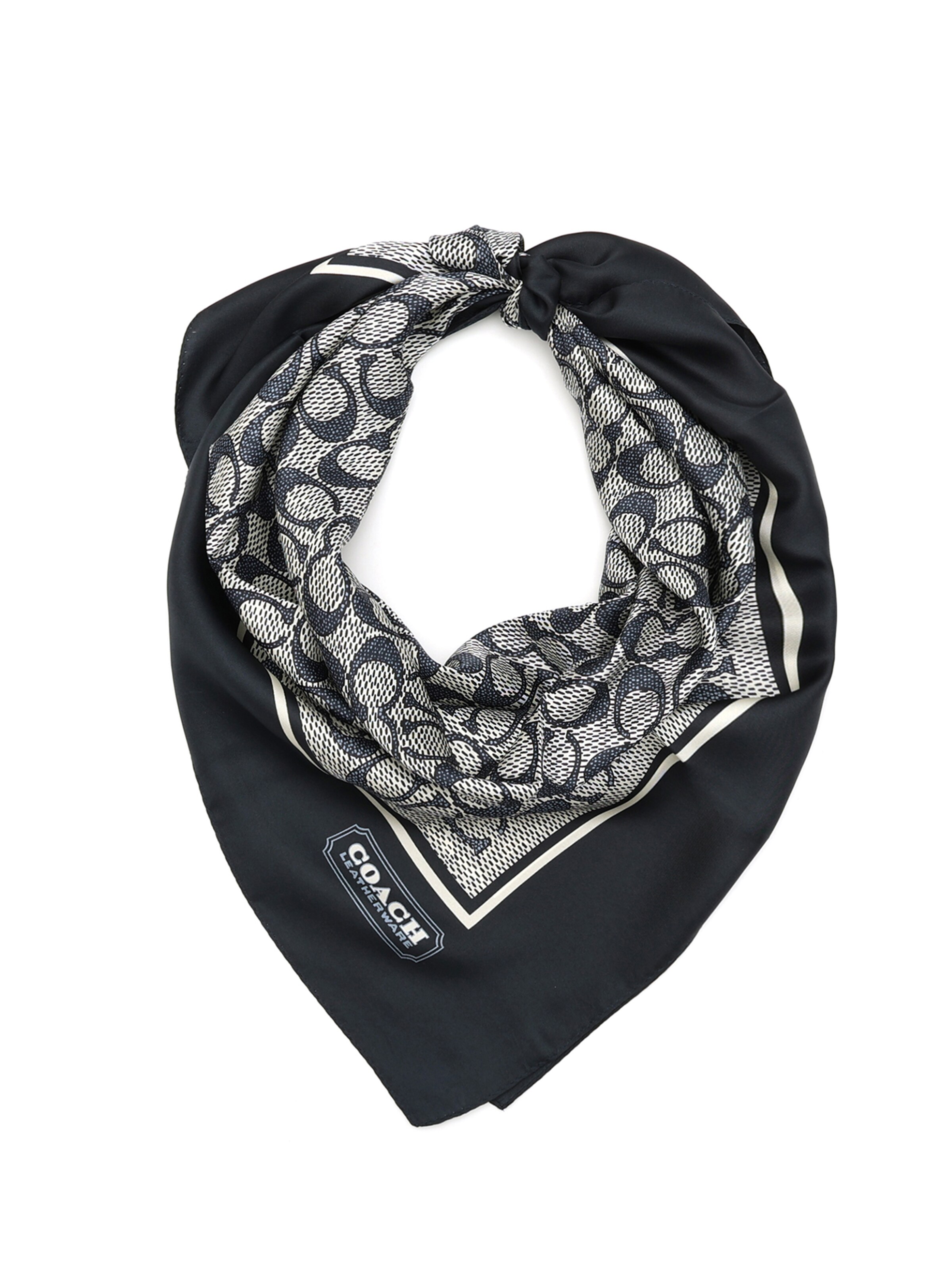 pañuelo coach
