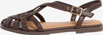 love & roses - Sandalias en marrón: frente