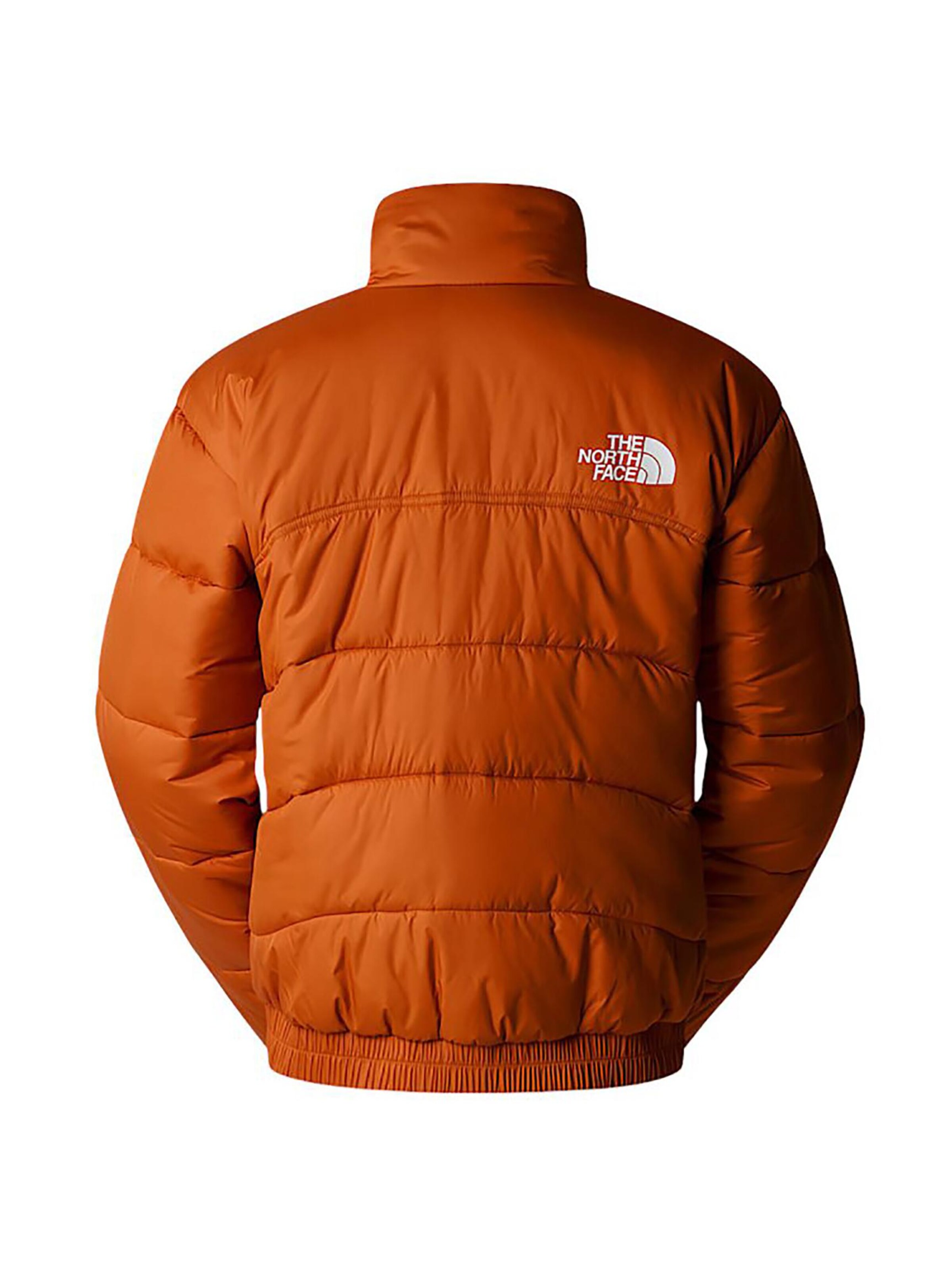 THE NORTH FACE Winter Jacket 'Summit Puffer 2000' in Brown