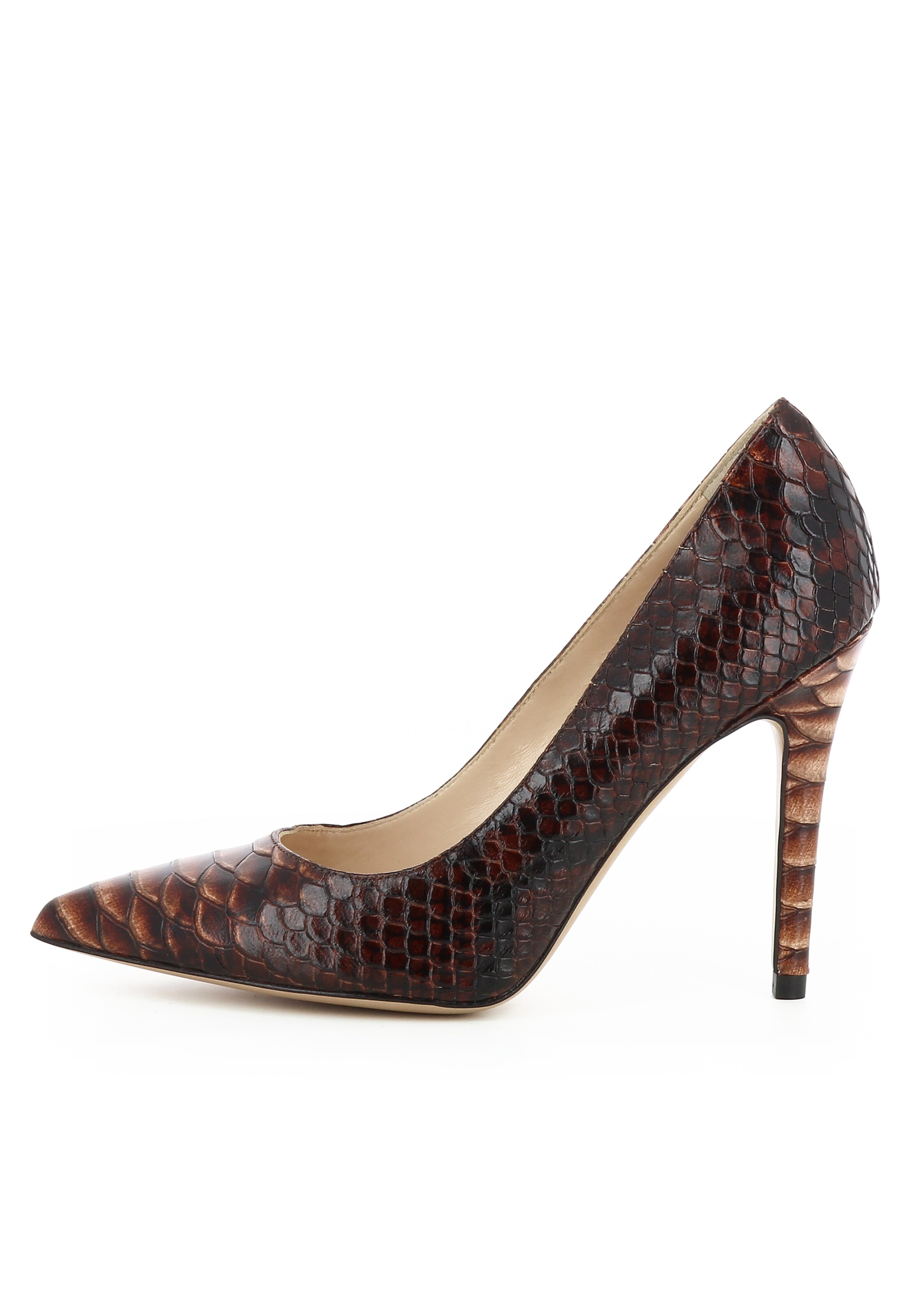 EVITA Pumps in Bruin