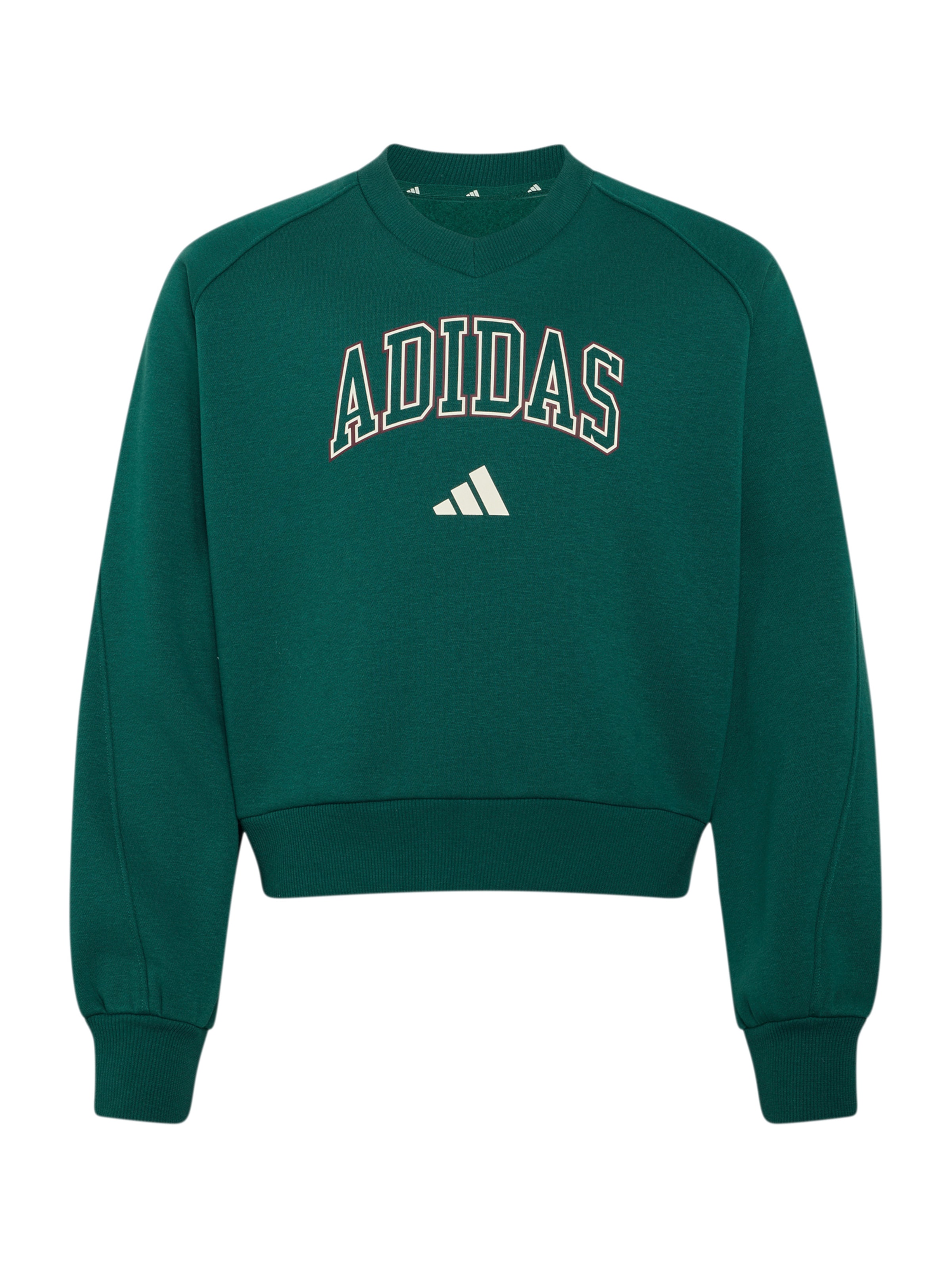 ADIDAS SPORTSWEAR Αθλητική μπλούζα φούτερ σε πράσινο: μπροστά