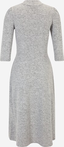 Dorothy Perkins Petite Knit dress in Grey