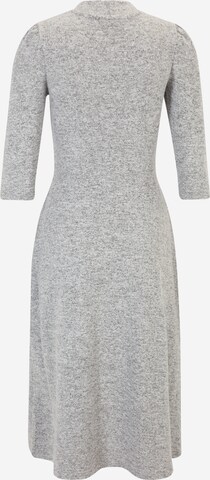 Dorothy Perkins Petite Kleid in Grau