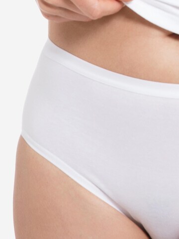 SPEIDEL Panty 'bio.cotton Plus' in White