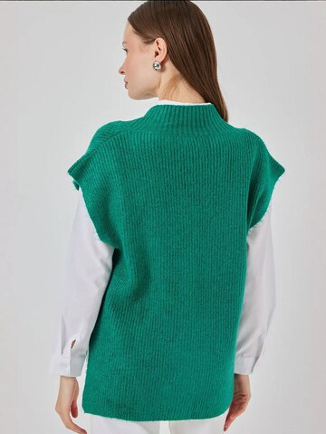 Hiccup Sweater in Green