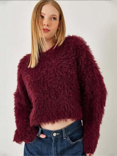 Bianco Lucci Pulover 'Pullover' veličine S-M u burgund, Pregled proizvoda