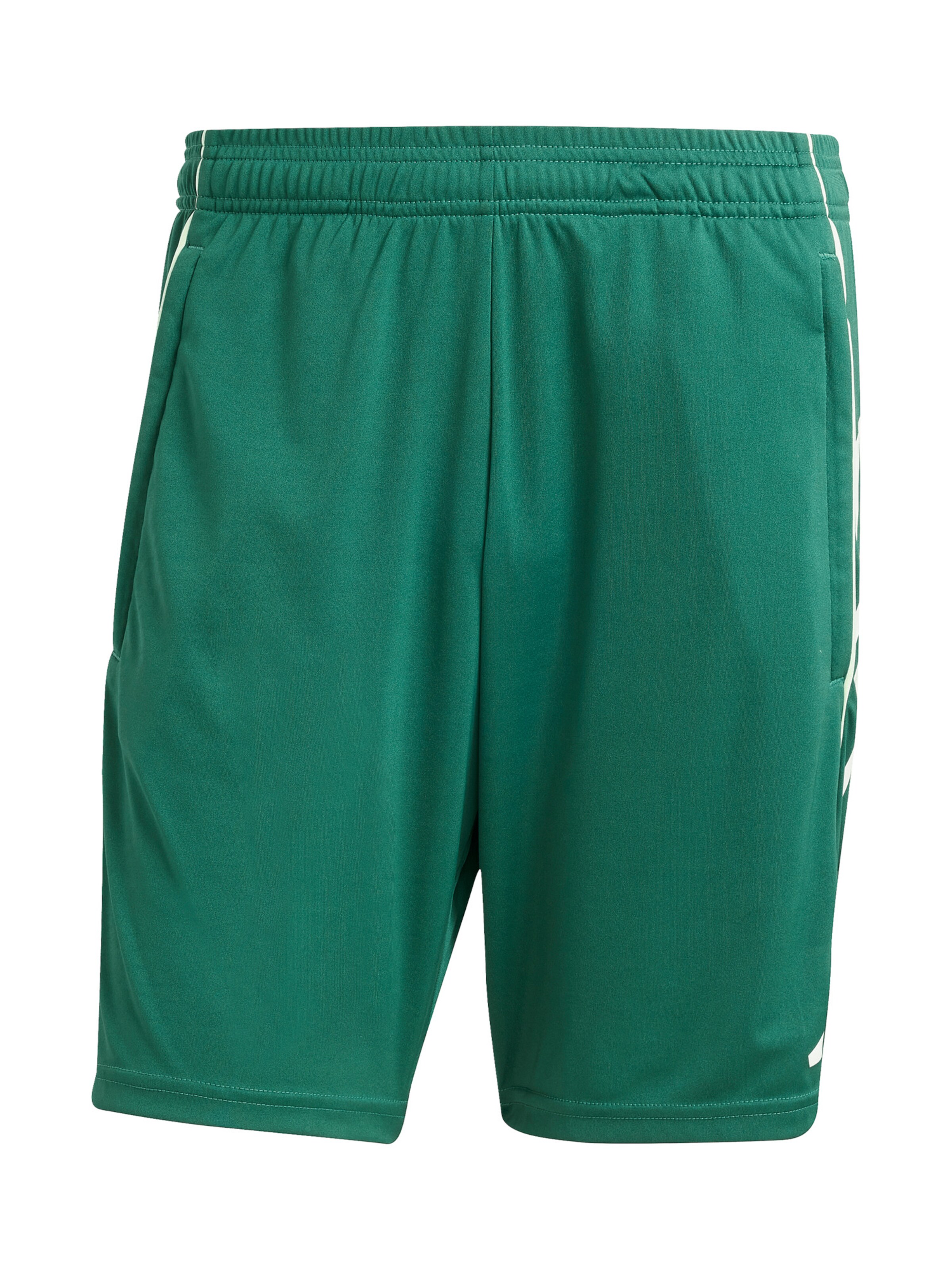 ADIDAS PERFORMANCE Sportshorts 'Tiro 25 Competition' in Grün: Vorderseite
