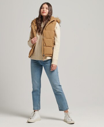 Superdry Vest 'Everest' in Brown
