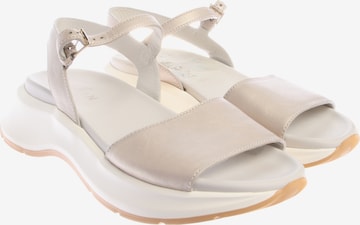 HOGAN Sandalen 40 in Mischfarben: Vorderseite