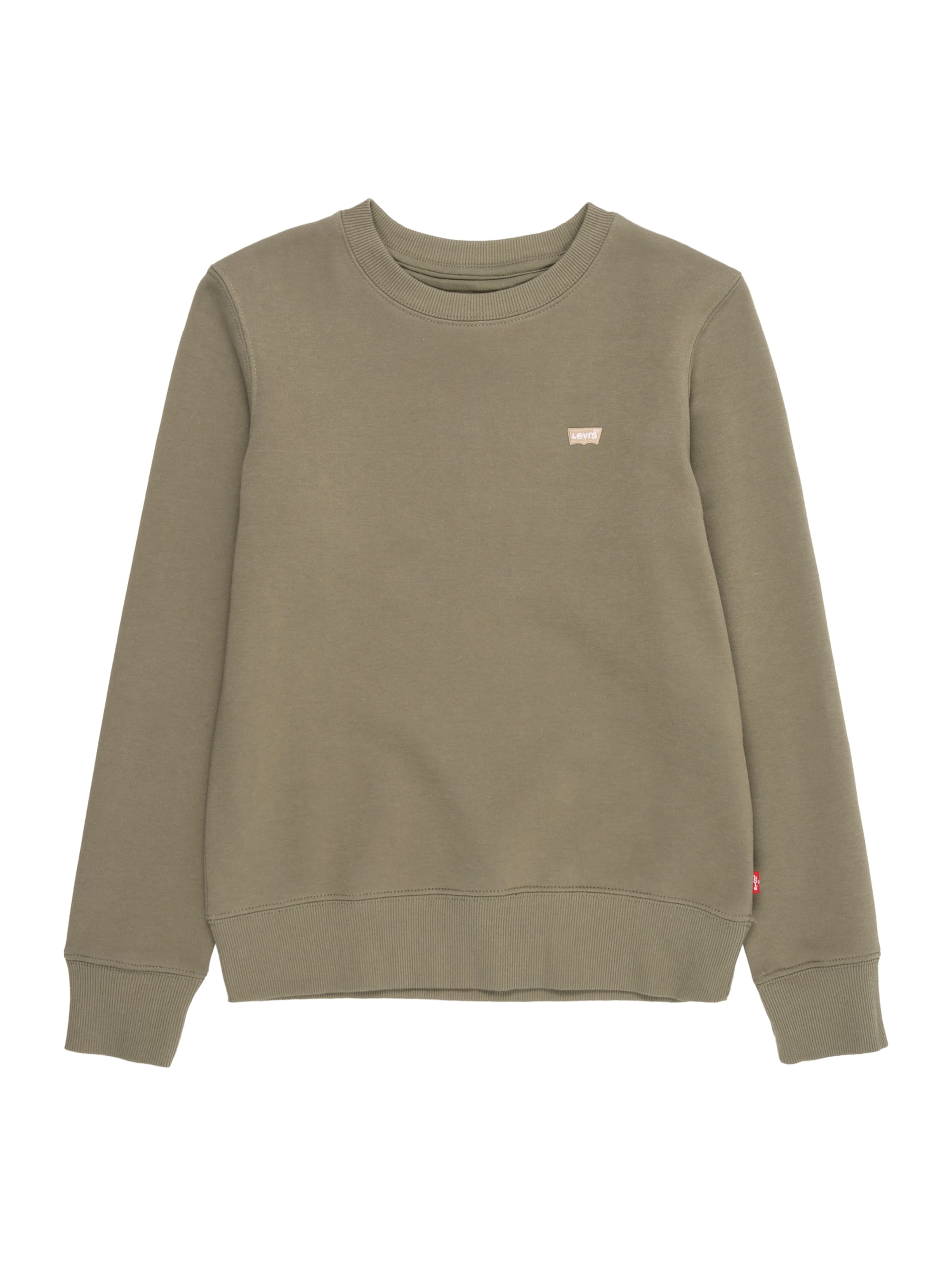 Levi's Kids Sweatshirt i grön: framsida
