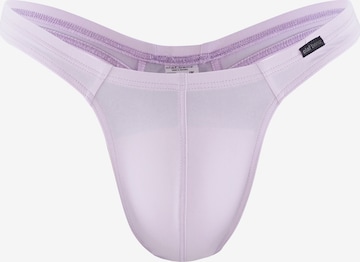 Olaf Benz Panty ' RED2331 Ministring ' in Purple: front