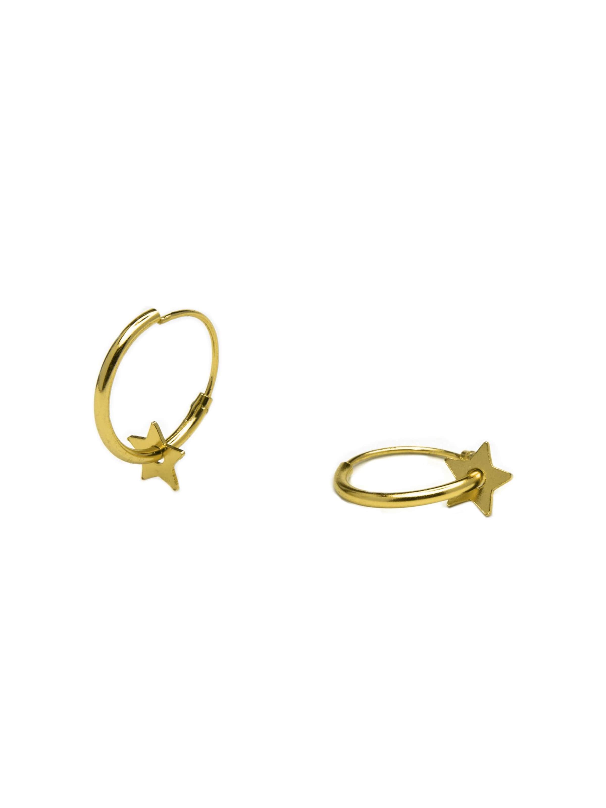 Luxenter Oorbellen 'Essential' in Goud