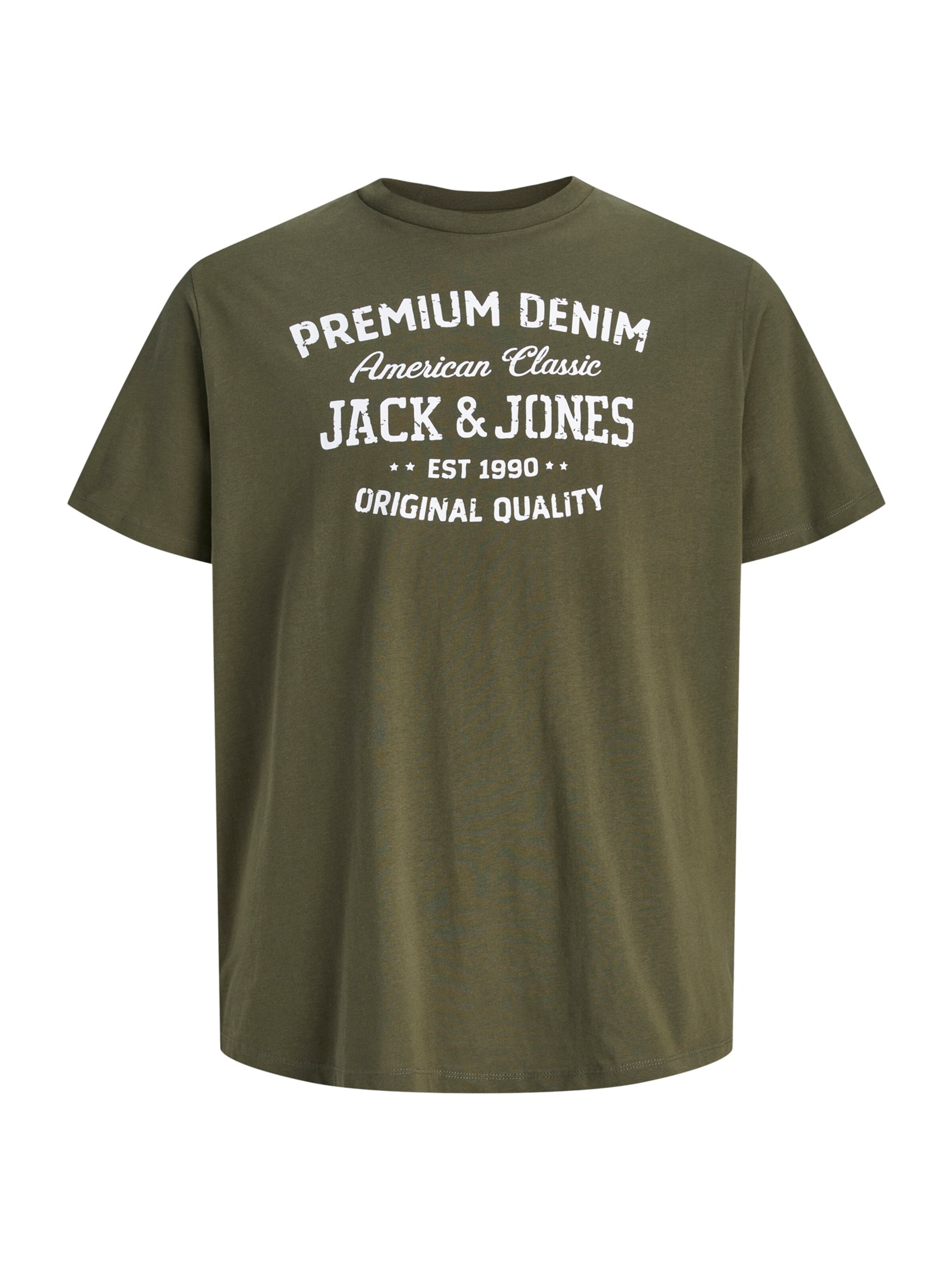 Jack & Jones Plus - Camiseta 'JPRBLUSIMON' en verde: frente