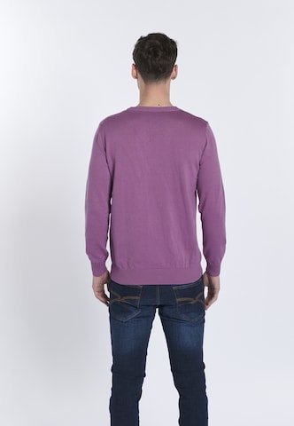 DENIM CULTURE Pullover 'NARCISO' in Lila