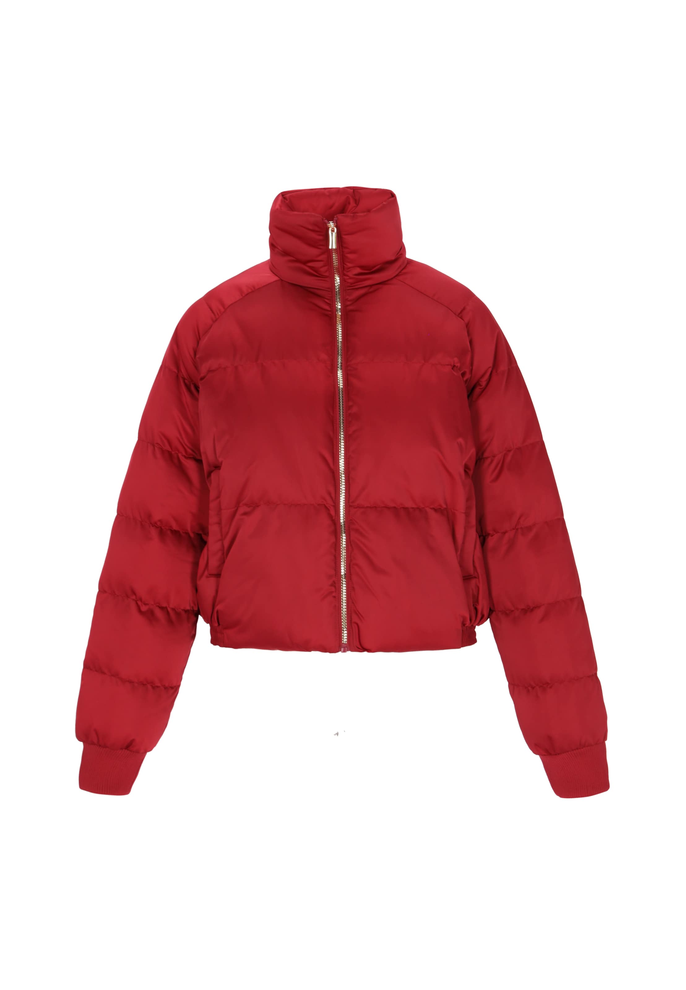 Geacă de iarnă de la faina pe roșu: față