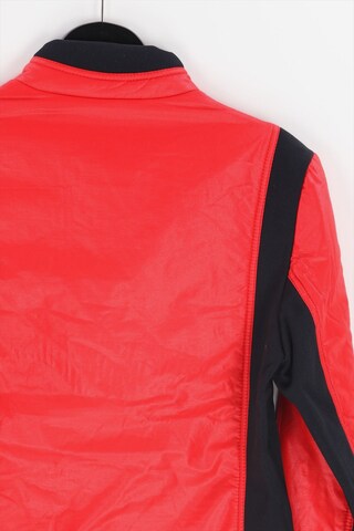 BRAUN Jacket & Coat in M in Red