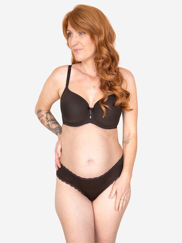 SugarShape String 'Pure' in Bruin