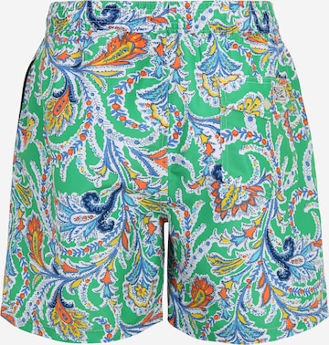 Polo Ralph Lauren Swimming shorts 'TRAVELER' in Green