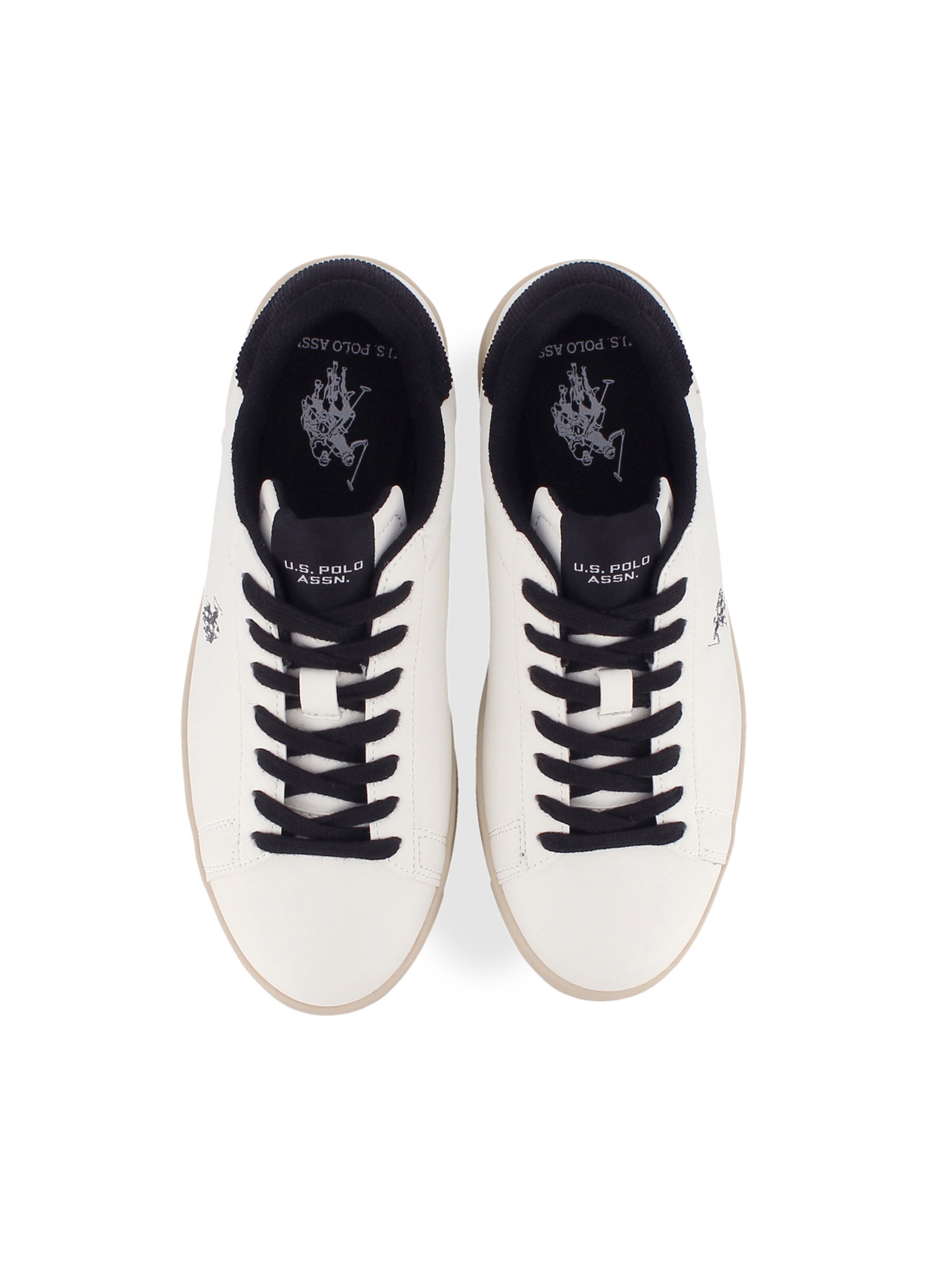 Baskets basses 'Alpha' US POLO ASSN. en blanc