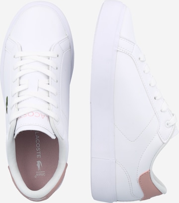 Sneaker di LACOSTE in bianco