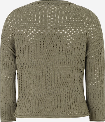 Only Petite Sweater 'Sansi' in Green