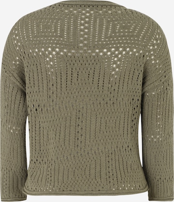 Pullover 'Sansi' di Only Petite in verde