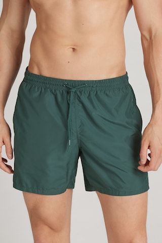 INTIMISSIMI Board Shorts in Green: front