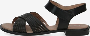 CAPRICE Strap Sandals in Black