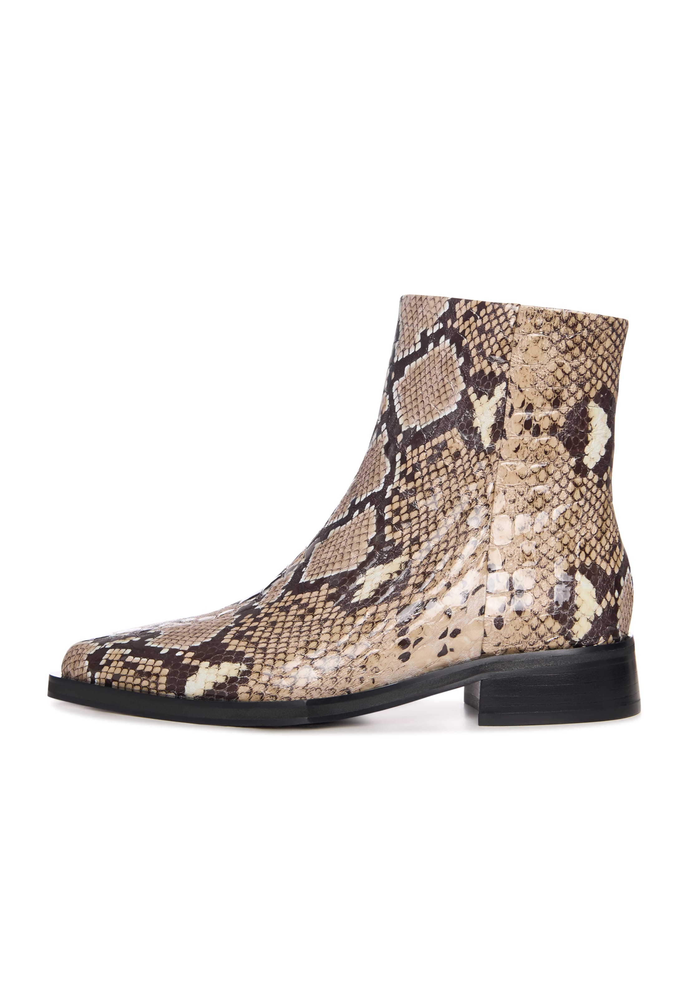 CESARE GASPARI Ankle Boots in Braun: Vorderseite
