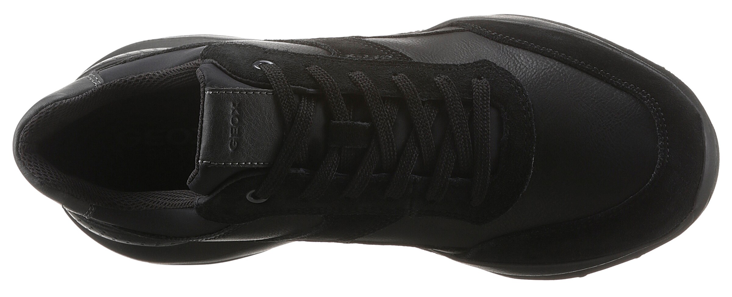 Sneakers Baskets basses GEOX en Noir 