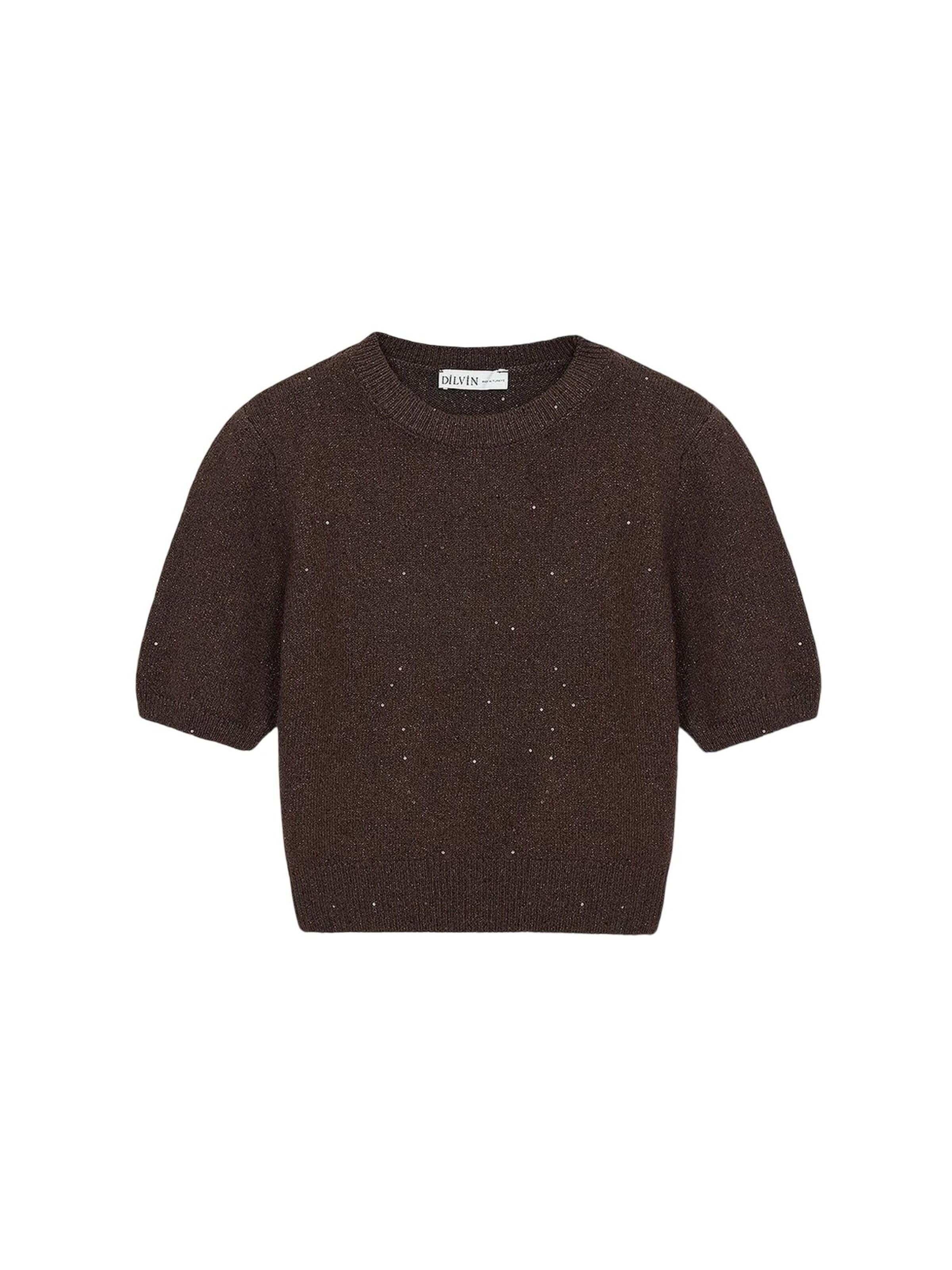 Pullover 'Pullover' di Dilvin in marrone: frontale
