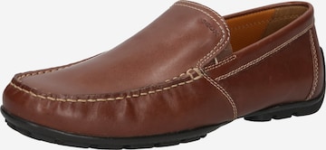 GEOX Moccasins in Brown: front