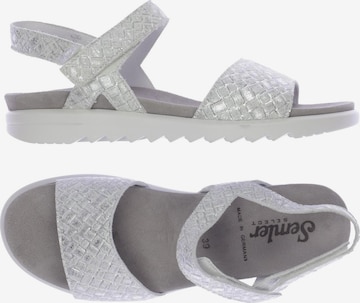 SEMLER Sandalen 39 in Grau: predná strana