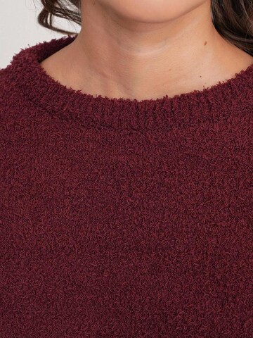 MixRay - Pullover 'Pullover' em vermelho